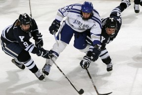 开云品牌-CBA多支球队强化教练团队，cba教练兼球员